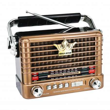 Radio AM/FM - RX358BT