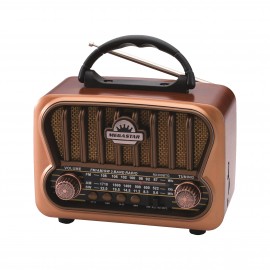 Radio AM/FM - RX309BT
