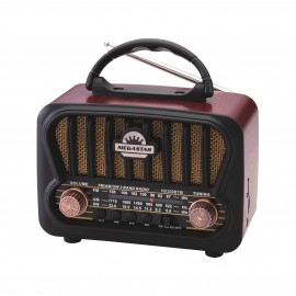 Radio AM/FM - RX309BT