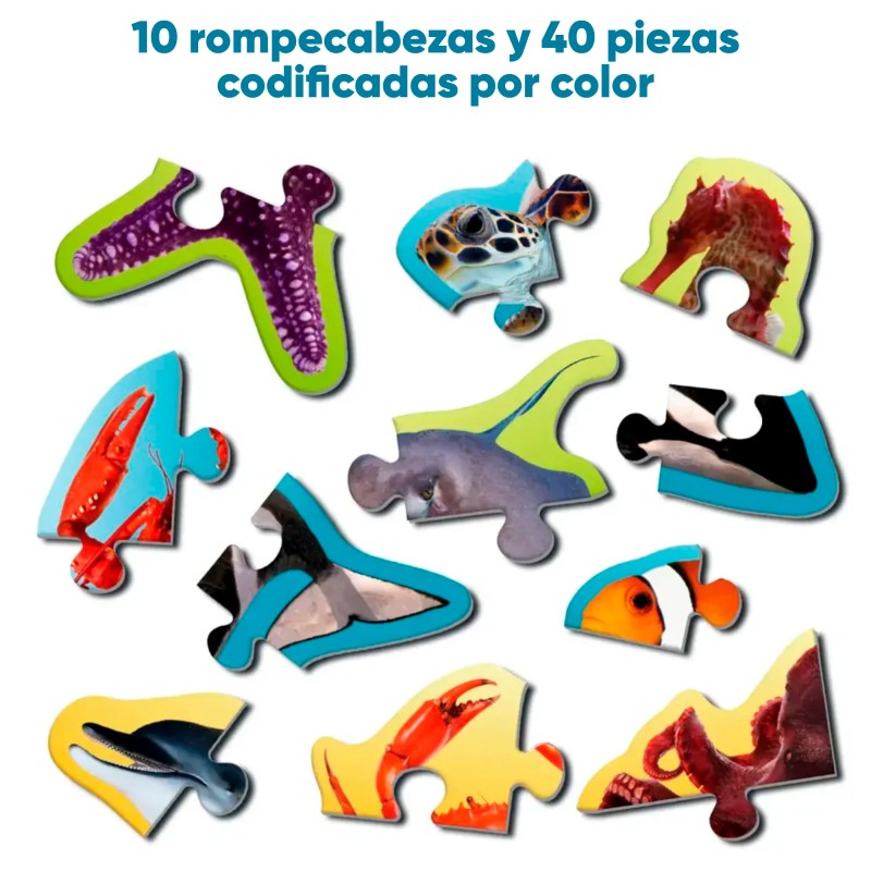 Step By Step Rompecabezas Animales Marinos - SKILL682SPUA