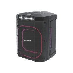 Parlante Profesional con Batería 8" – HYJ802BT