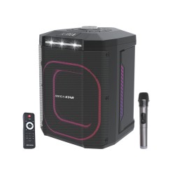 Parlante Profesional con Batería 8" – HYJ802BT